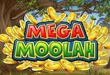 World Record Jackpot Payout at Mega Moolah