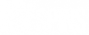 NYSpins  Casino Logo